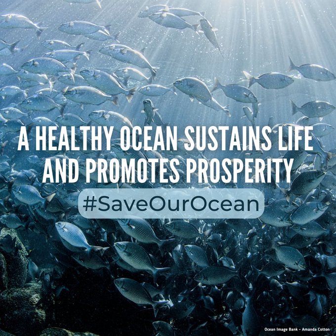 United Nations tweet media