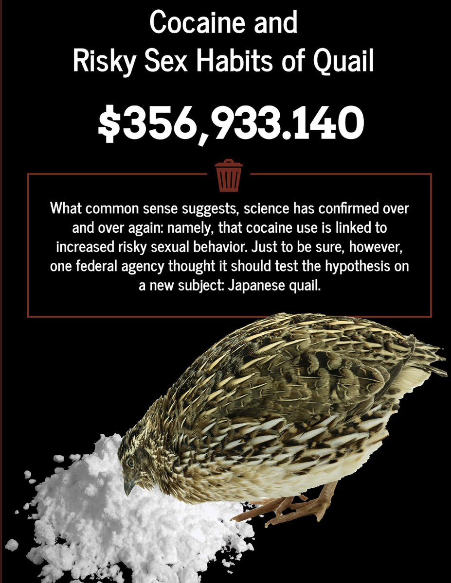 PatriotGal480's tweet photo. What "risky" habits are being studied in JAPANESE QUAIL at the tax payers expense of $357K??? #WePaidforThat https://t.co/dzdpfvukuc