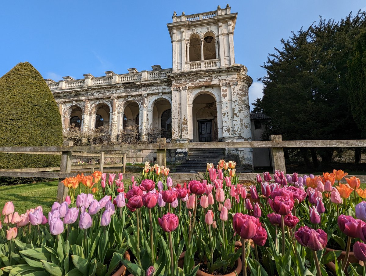 peakcycling's tweet photo. @Daffodil01chase @TrenthamEstate I did the parkrun there last weekend and they were spectacular! https://t.co/Vo7jbJt9GK