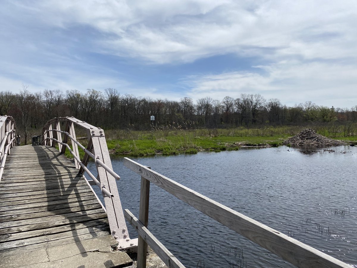 zebeszebra's tweet photo. #AprilWaterChallenge at the White Memorial Conservation Center #LitchfieldCT #CTNatureFans https://t.co/D2dKOCMvHU
