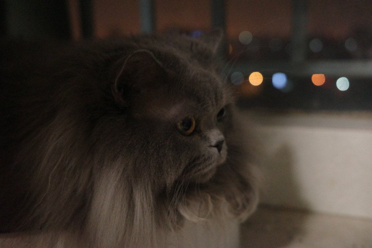 Mcvein (@ryudo67) on Twitter photo 