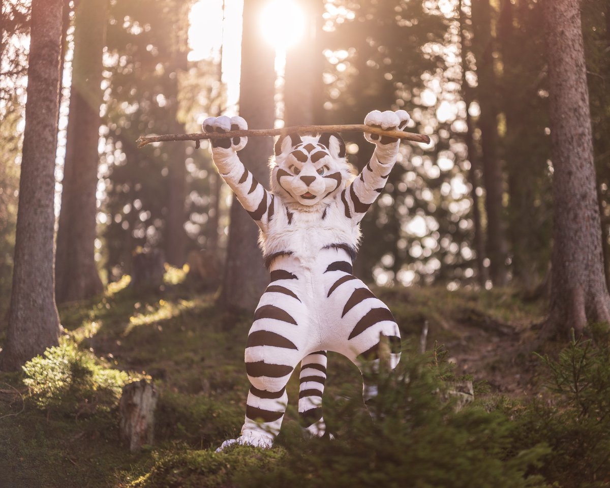 Aphinic Tiger 🇩🇪🇪🇺 tweet media