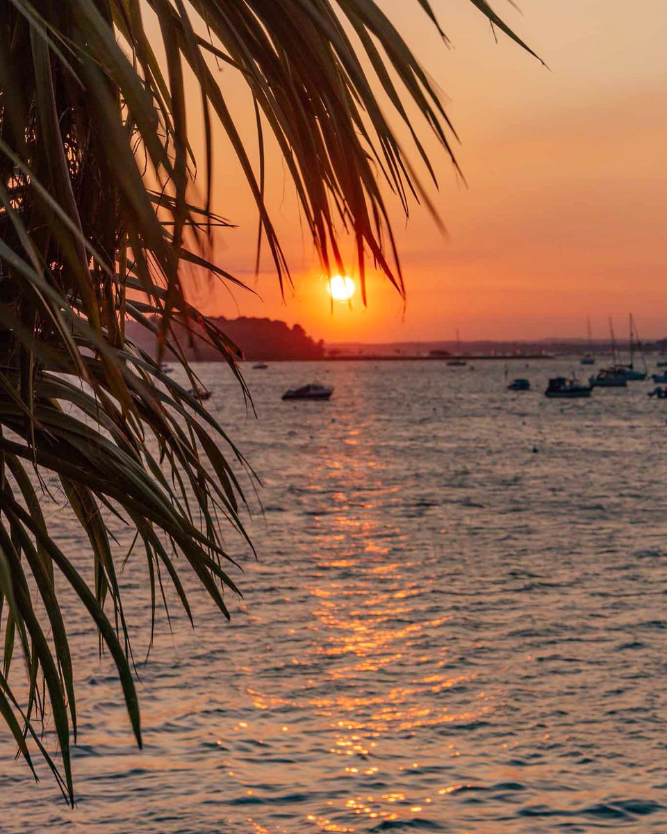 BeachBramble's tweet photo. Happy Days #sandbanks #sandbankspoole #sandbanksstyle #sandbankssunset #sunsetbritain #sunsetlovers #sunset_pics #sunsetmadness #sunsetlandscape #sunsetcaptures #dorset #raw_sunset https://t.co/lXcrO0KzdA