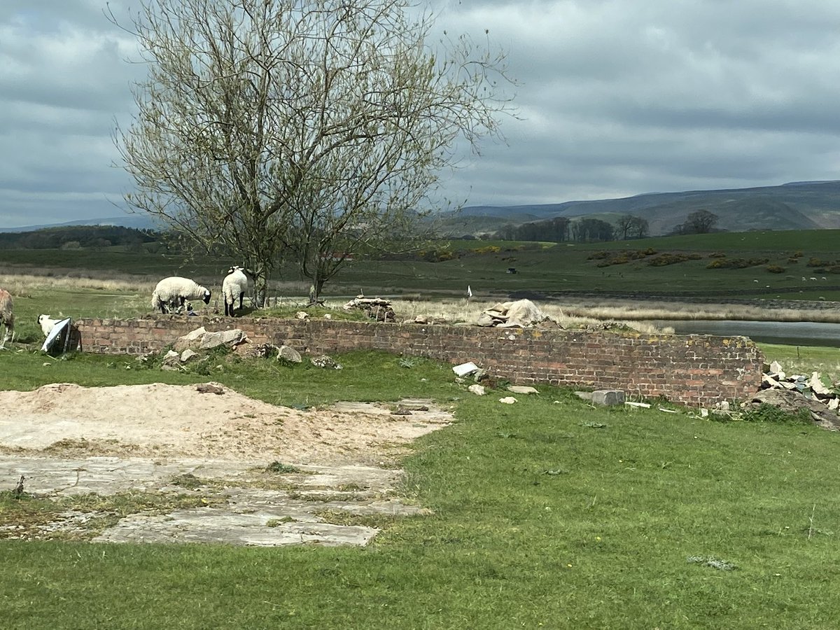 cumbriaoldrural's tweet image. #Eastfellside views #Appleby #countryroads