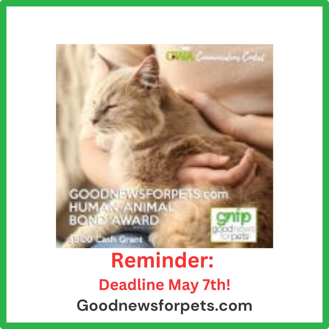 Hey cat lovers, there’s still time to get your entry in but hurry! Here’s the link: bit.ly/44au7dr