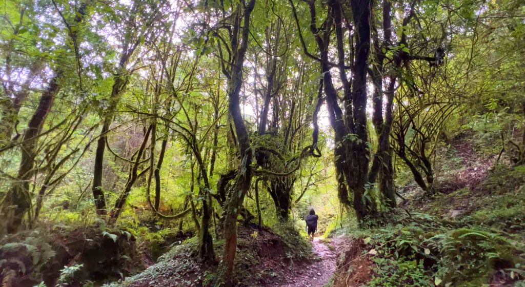 NepalHoliday_'s tweet photo. Khumai Danda trek, also known as the Great Machhapuchhre Trail, is a newly-developed trekking route in the Annapurna Region.
#khumaidandatrek #annapurna #fishtail #machhapuchhre #newtrail #trekroute #nepal #travelblog #nepalholiday https://t.co/MZUcOLjS4n