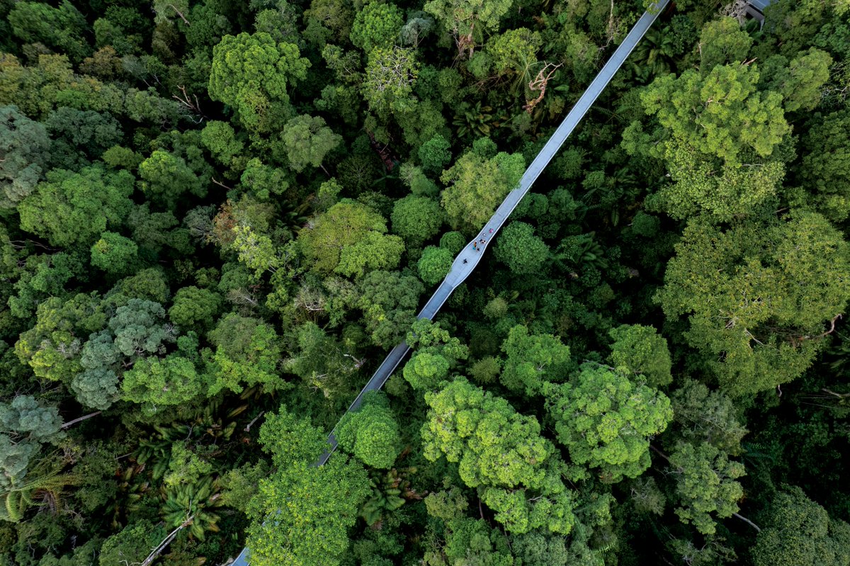 National Geographic Animals tweet media