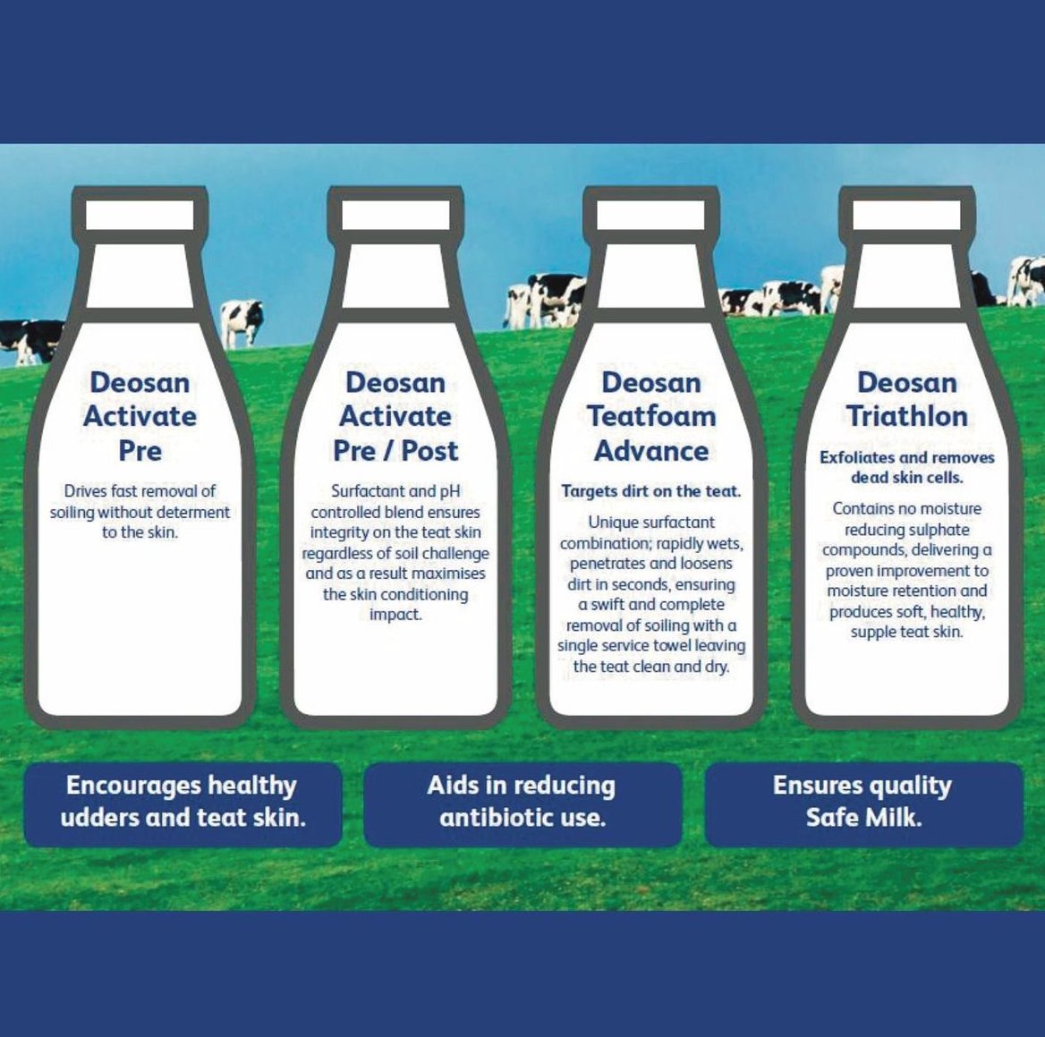 As we look forward to turnout, make sure your post-milking disinfection is suited to the changing environment 🐮👇🏻

📞 Give Lauren or Mick a call to discuss on 01228 792906, we have a range of ready to use or concentrated teatsprays available at a price to suit everyone.