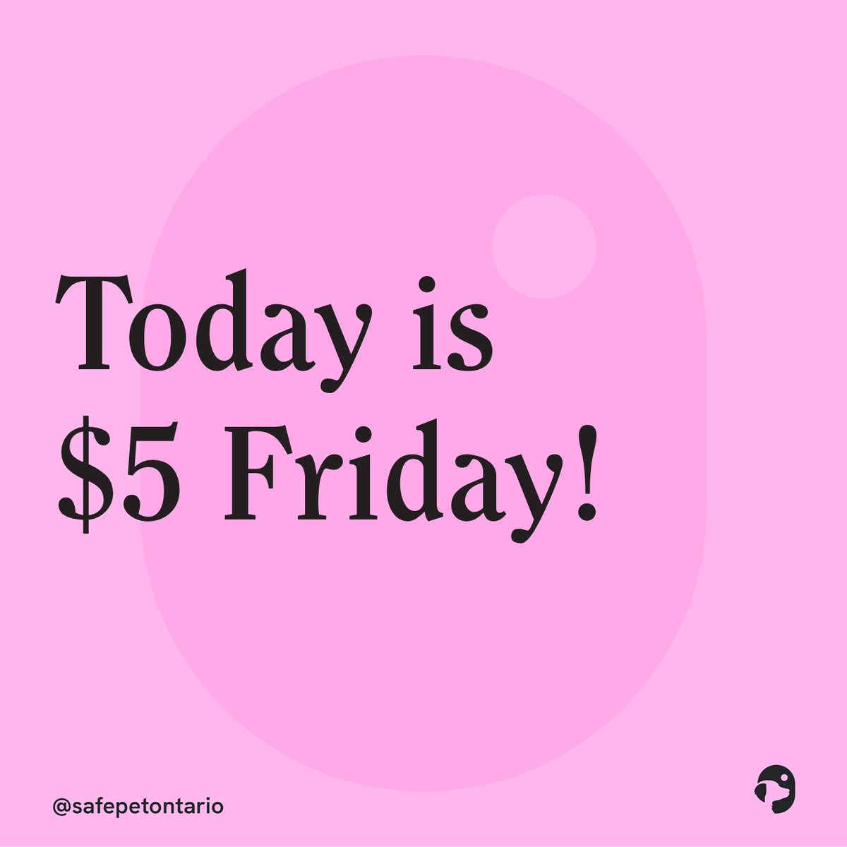 SafePetOntario's tweet photo. We're excited for... 5 FRIDAY! It may not seem like a lot to you, but for a grassroots charity like SafePet Ontario it goes a very long way. We would LOVE IT if you signed up as a monthly donor via https://t.co/upEGEgK428 TODAY! #gratitude #PetsAreFamily #survivors #theLink https://t.co/DXnSO4Wn2X