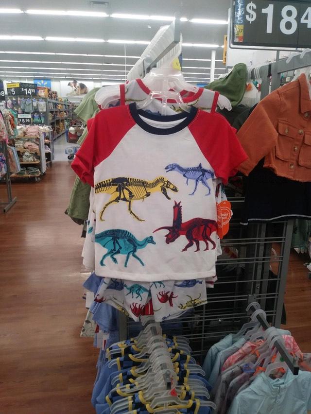 Darren Naish On Twitter RT skeletaldrawing Hey Walmart Why Are 