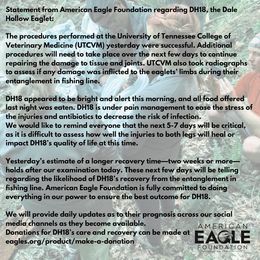 American Eagle Foundation on Twitter "April 28th update on DH18 https