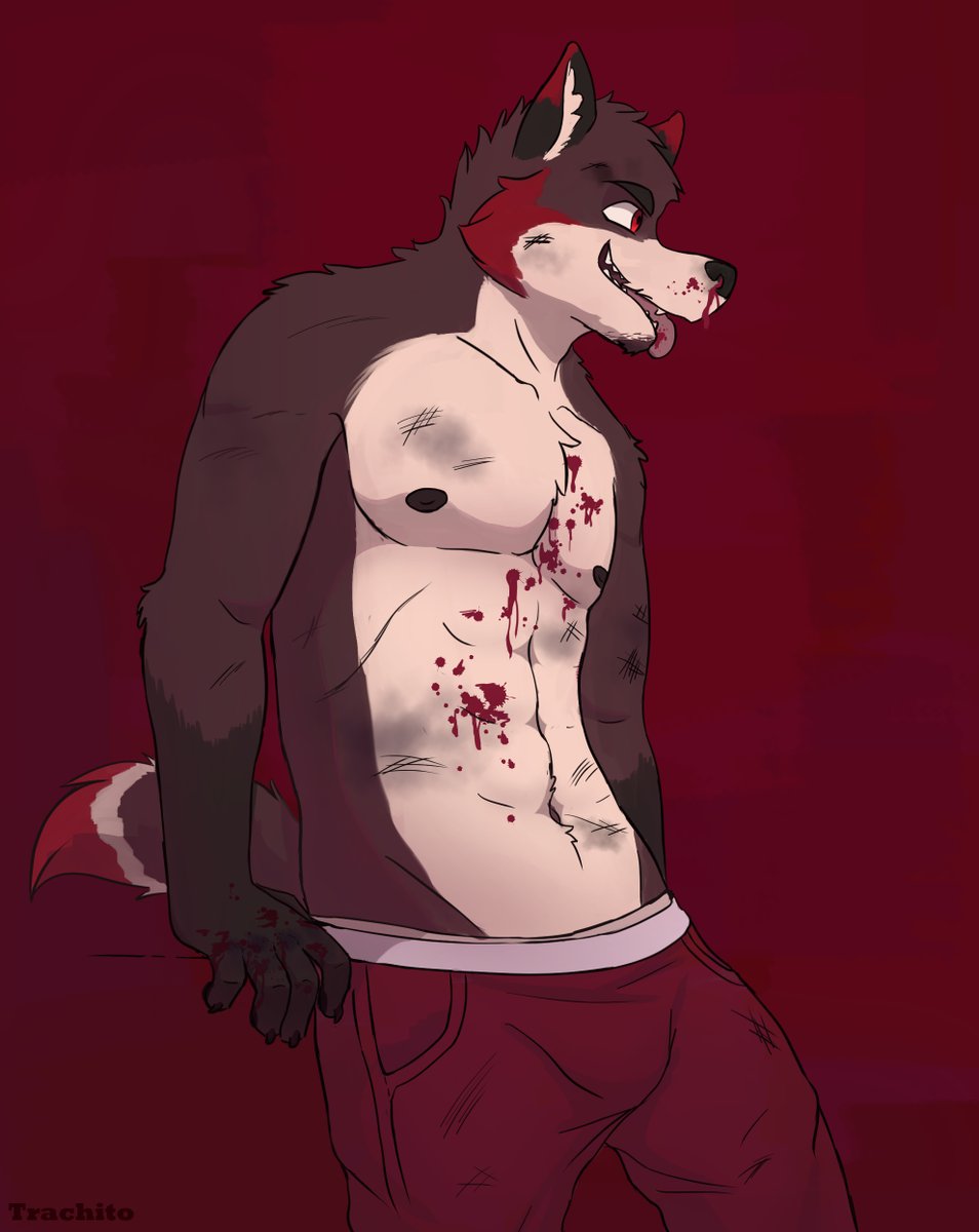 Trachito_'s tweet photo. New oc :3 his name is Robb, violent but cute sometimes. https://t.co/4yUvMINL2W
