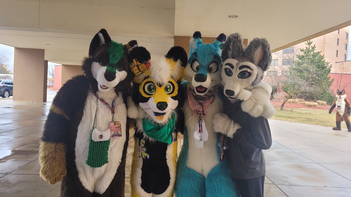 More fluffy beans for your timeline on this wonderful #FursuitFriday!

Wolf: <a href="/gradientwolf/">gradientwolf</a> 
Yellow Bean: <a href="/Dilyn_LD/">Dilyn Emrallt</a> 
Blue Bean: <a href="/TheRealFruxButt/">Fruxxy LVT (He/Him)</a> 
Husky: <a href="/DaytonaHusky/">Daytona “Speedy” Husky! 🔜 MFF!</a> 
📍 #MCFC23