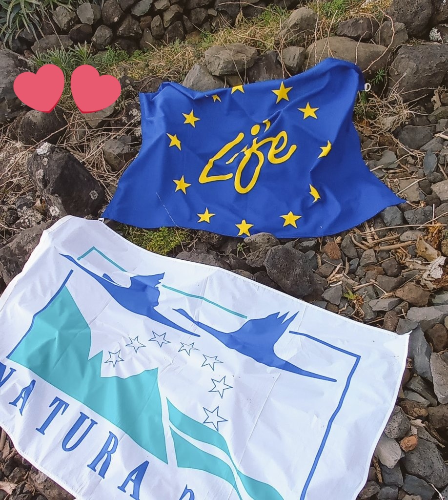 Giulia Carboni tweet media