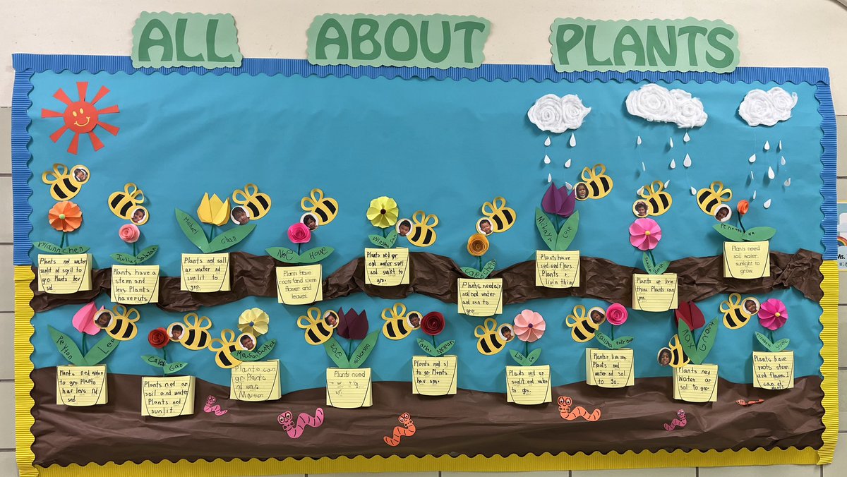 ShuangWen184 tweet media