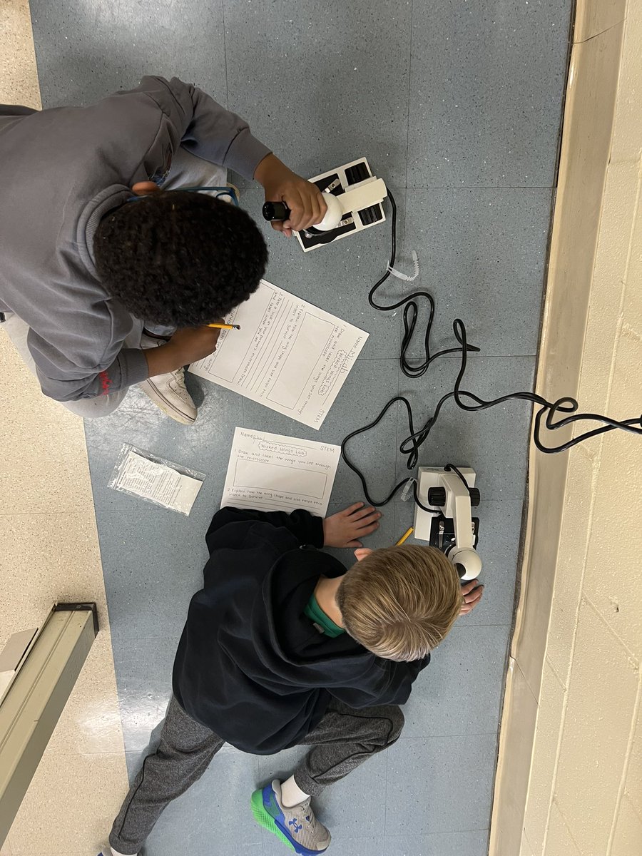 Mrs. Nicholls tweet media