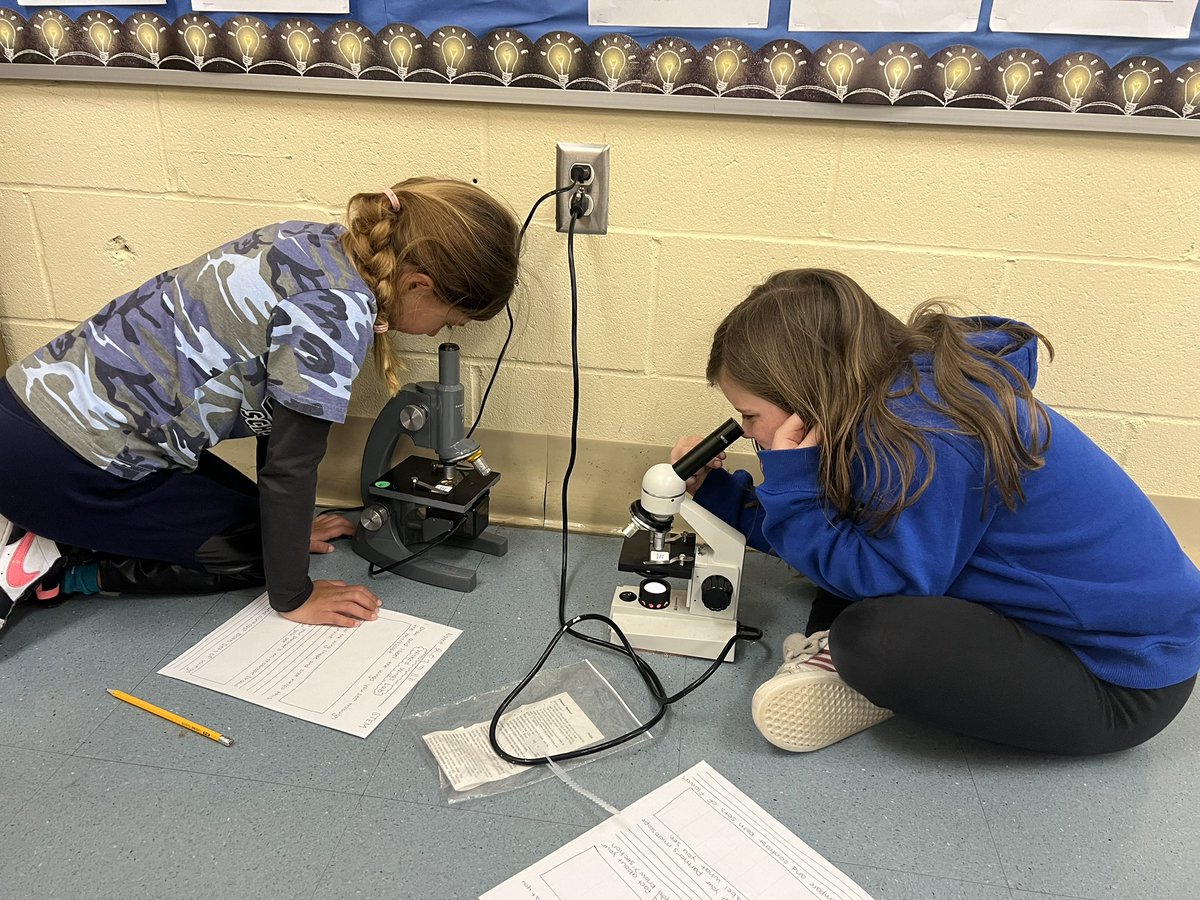 Mrs. Nicholls tweet media