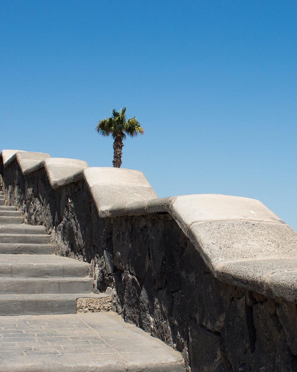 visitmaspalomas's tweet photo. 😍 #visitmaspalomas 
🌴 🌊 🏄🏼 ☀️ ⛱ 

#Maspalomas #Dunes #GranCanaria #islascanarias #lomas #canaryislands #visitspain #canarios5estrellas #spain #dunasmaspalomas #ocean #ilescanaries #beach #latituddevida #view #Meloneras #travel #goodvibes #travelphotography #outdoors https://t.co/uK6J9VwDlR