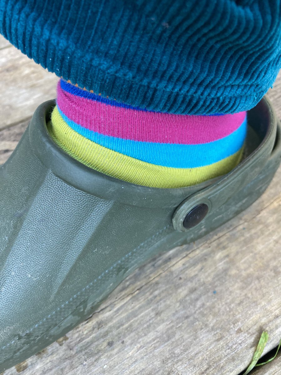 Concordmoose's tweet image. Update on pink things in the garden. Tulips going raspberry-ripple (mmm yum). Apple blossom coming out white. Red campion buds? My socks in sync. Blue shed  &amp;amp; blue evening sky with yellow-green early poplars behind it all. #gardening #naturespatterns #colour #joy