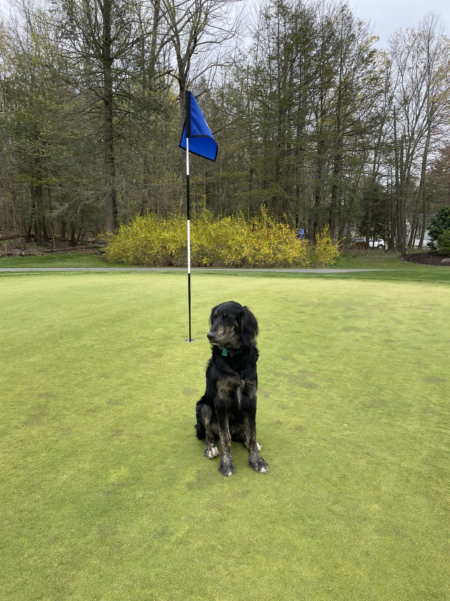 Employee Spotlight:  We would like to take a moment to recognize and welcome our newest maintenance employee, Hank! 
Hank is a 6 month old Bernese/Golden mix. He's quickly learning the ropes here at Elkview in his first two weeks. Welcome to the team, Hank! 🐾 🐶