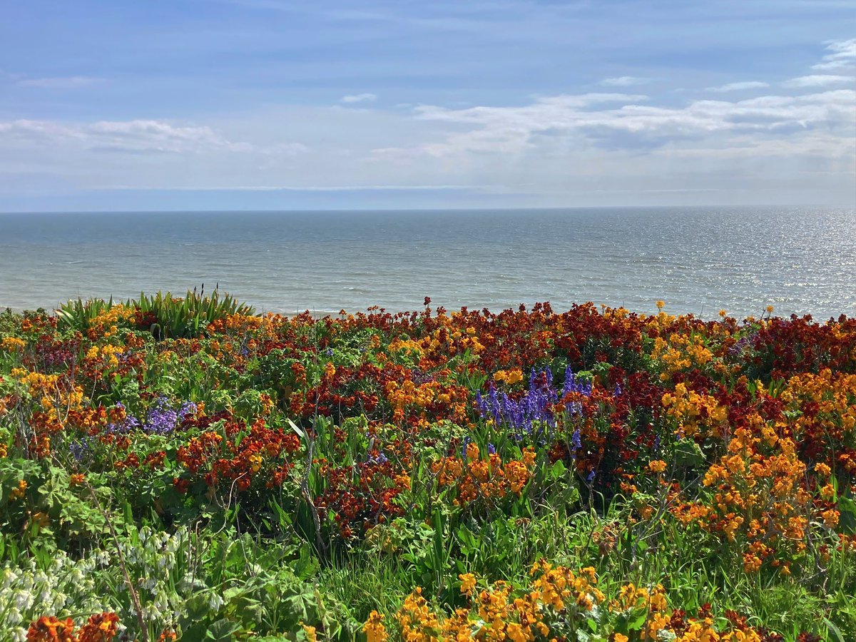 Telscombe Cliffs today