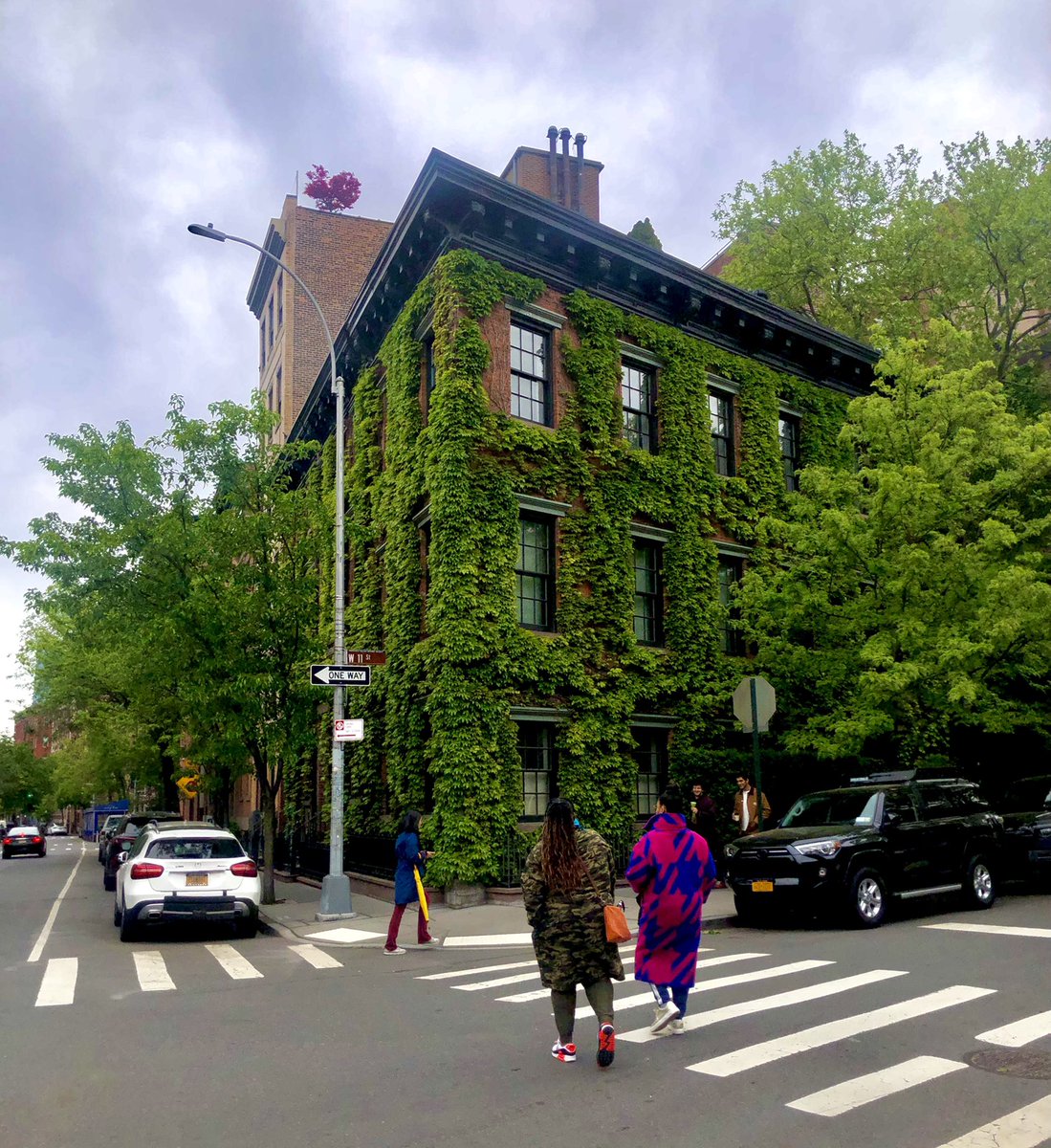 Cobylefko's tweet photo. Tree lined streets are great, but buildings faced with greenery are often just as good! https://t.co/2EYBaLYWGL