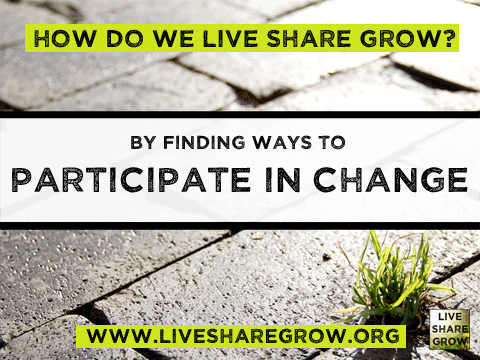 Live Share Grow tweet media