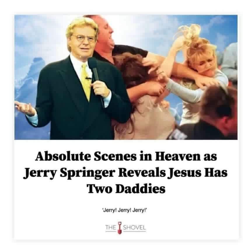 Schrödingers Kaj 🐱🐈 (@donkerwoud) on Twitter photo 