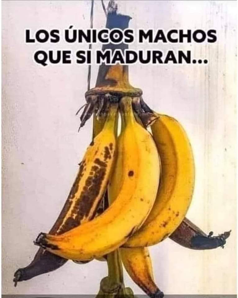 GpeCamacho08's tweet photo. A caray
#sonrie https://t.co/AJ6YJWAF3n