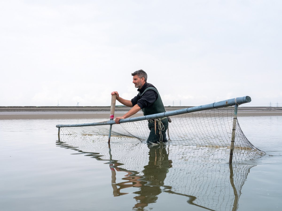 AP__books's tweet photo. Flookburgh fishermen never say they are going fishing just that they are ‘Going to the Sand’. They travel where they need to by ancient tractors, negotiating tides &amp; constantly changing sands &amp; channels.

'Going To The Sand' by @tessabunney 
Pre-order here https://t.co/MaqxDTYYWl https://t.co/Y9FlILK8ip