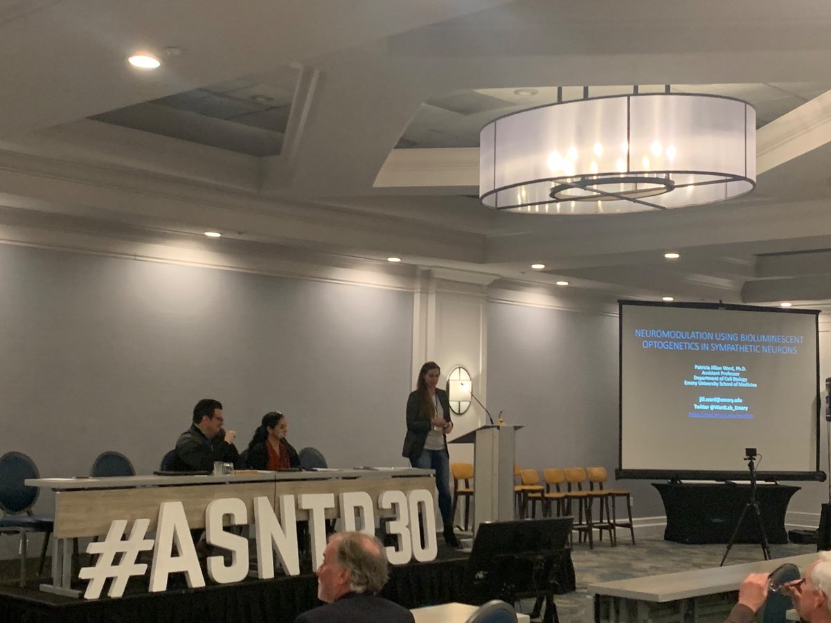 Lana Zholudeva tweet media