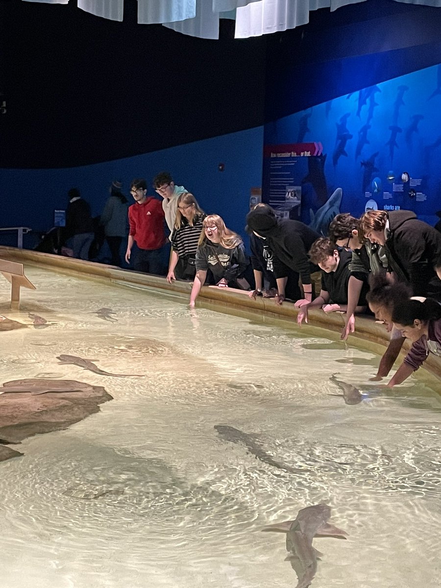 FrauMosser's tweet photo. German 3&amp;4 had a terrific time at the @IndianapolisZoo these kiddos have worked so hard to earn this trip! https://t.co/8vQv0ljZdV