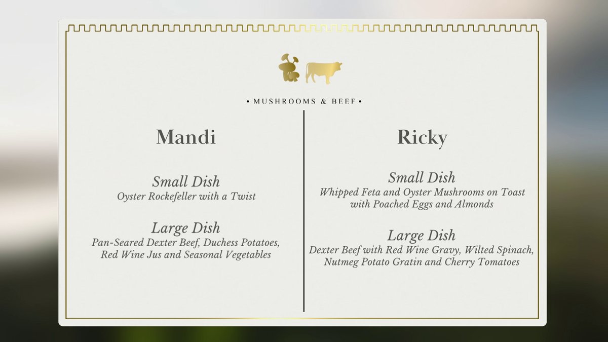 Stellify Media tweet media