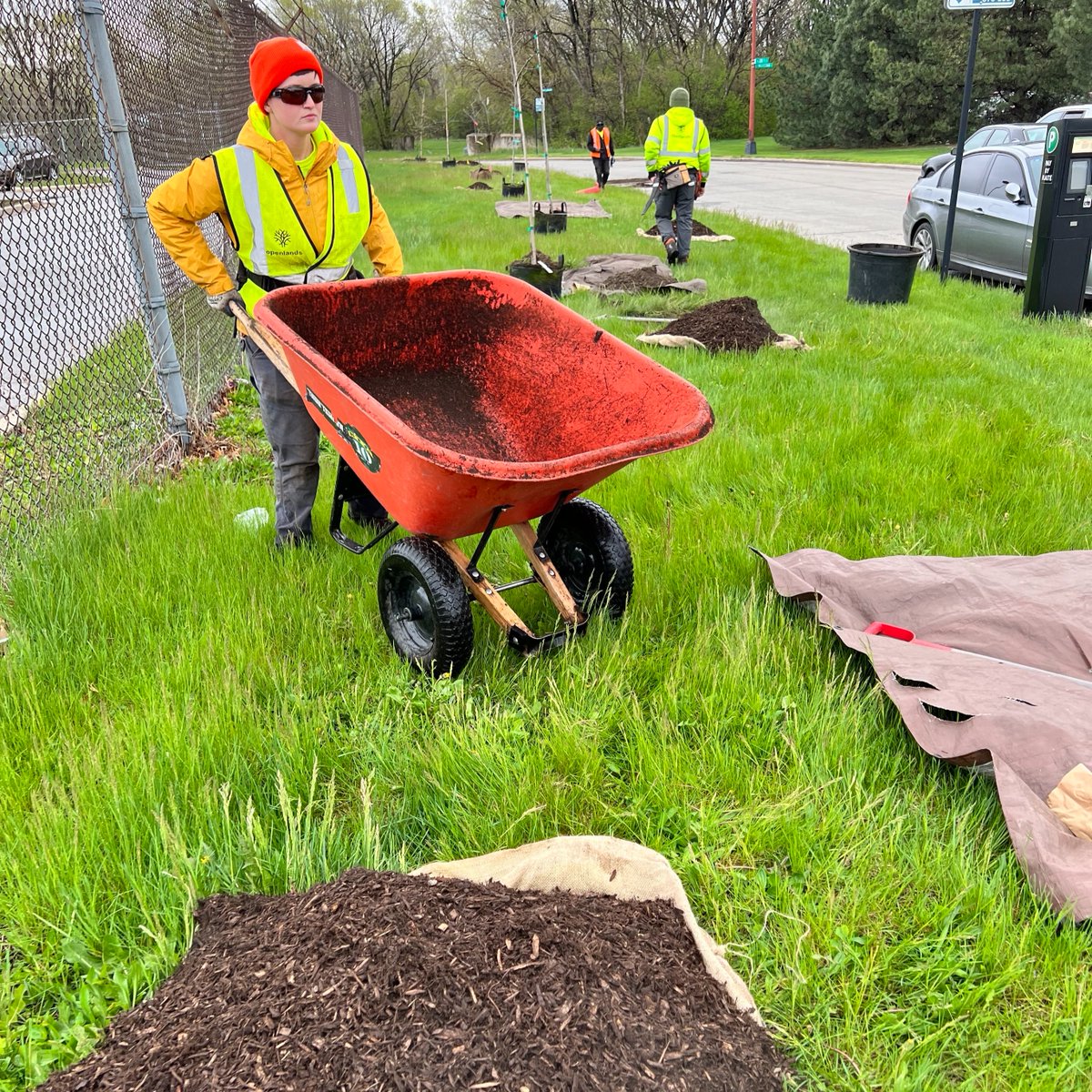 Openlands tweet media