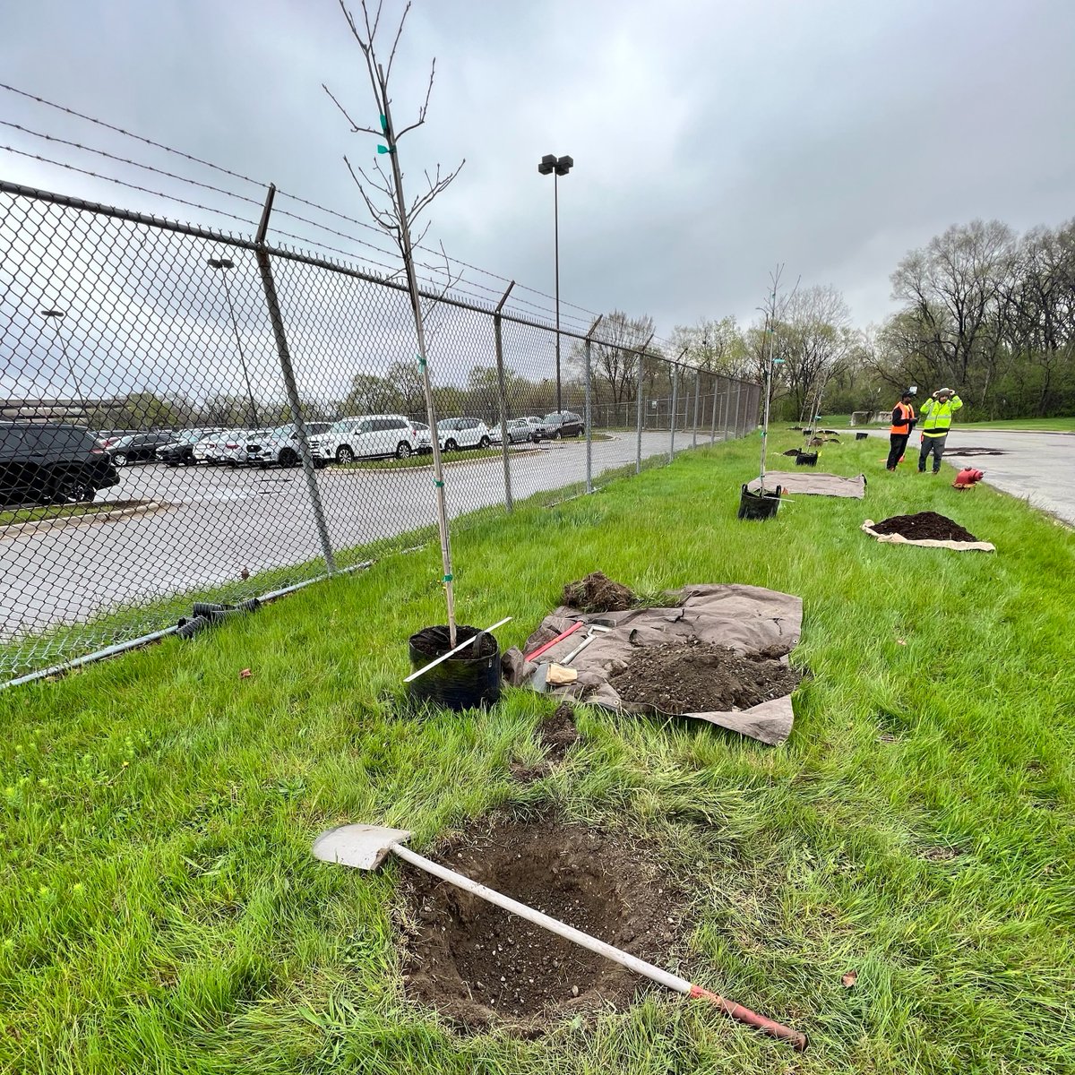 Openlands tweet media