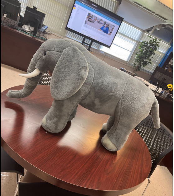 Today in Wraparound ESO1 we addressed the elephant in the room figuratively and literally. #TeamworkmaketheDreamwork
