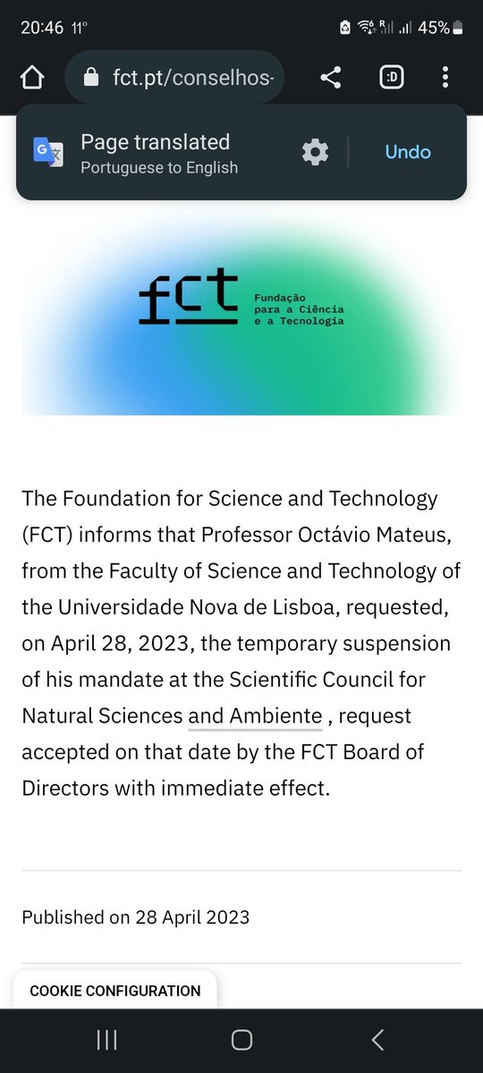 Melanie During, PhD. ⛏🦕🦖🦩🍉 tweet media