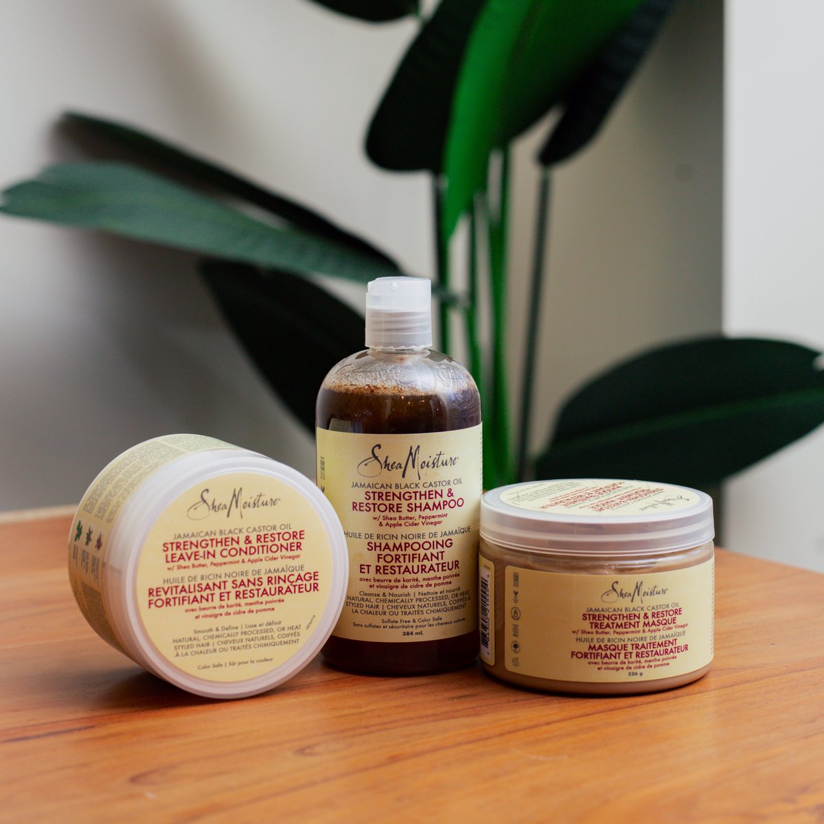 SheaMoistureCA's tweet photo. Let me put you on! You’ve gotta try our JBCO Collection! It’s perfect for heat-damaged hair✨It’s got Jamaican Black Castor Oil &amp; Certified Organic Shea Butter to restore and strengthen your curls 👩🏾‍🦱No big chop needed! https://t.co/9r8PyxL3Ry