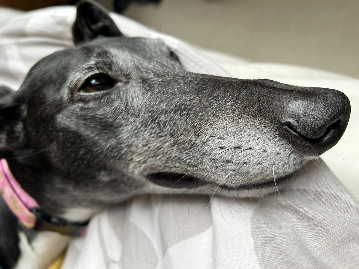 Safe travels and an enjoyable holiday to everyone who is on their way to the #GreatNorthTweetup2023