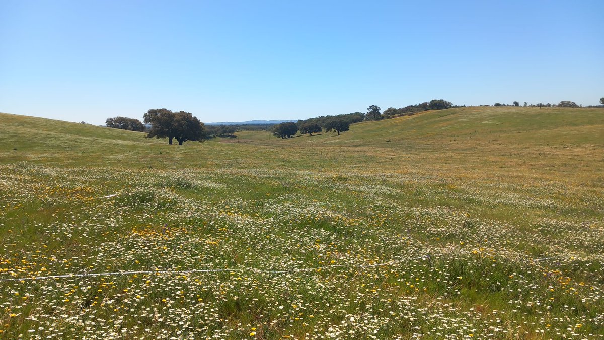 ESFE_cE3c tweet media