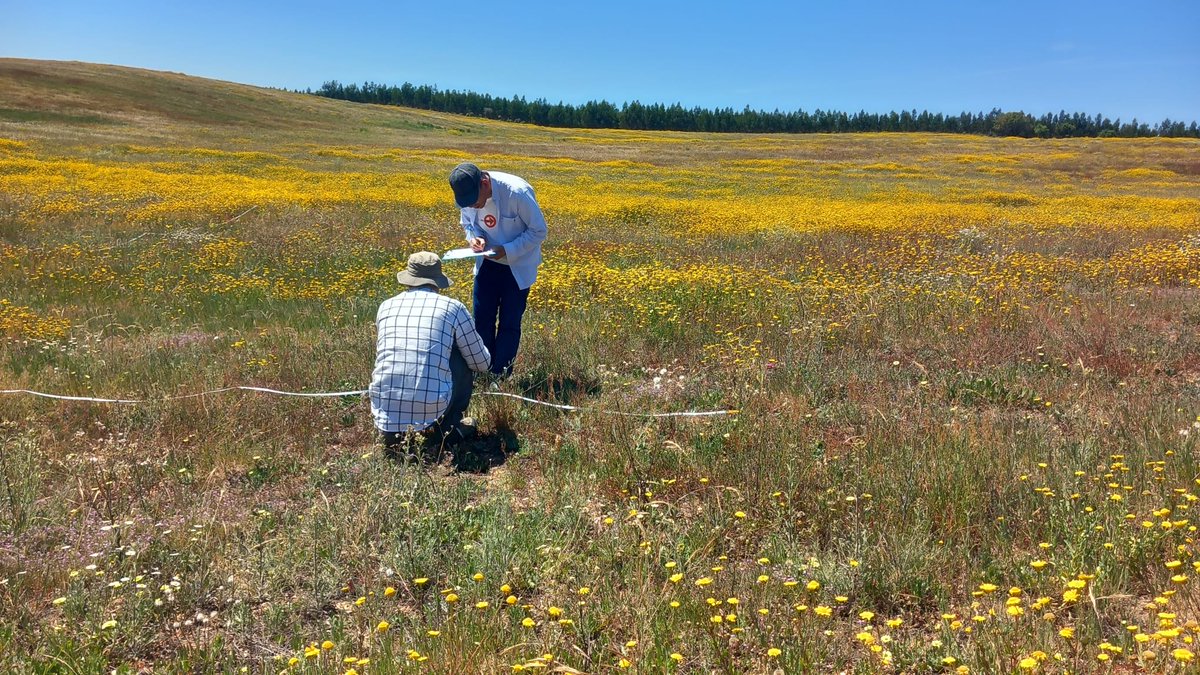 ESFE_cE3c tweet media