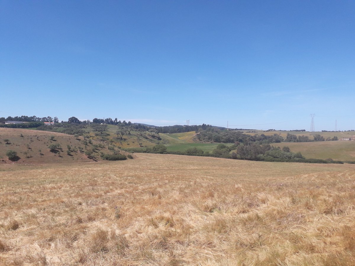 ESFE_cE3c tweet media