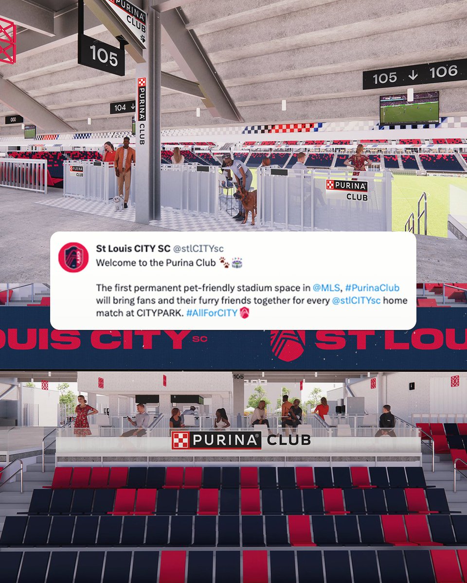 FOXSoccer's tweet photo. Furry friends welcomed 🐶❤️

@stlCITYsc unveil a premium, dog-friendly section within CITYPARK where fans and their pets can catch all the soccer action⚽️ https://t.co/2C9pW3WsLq