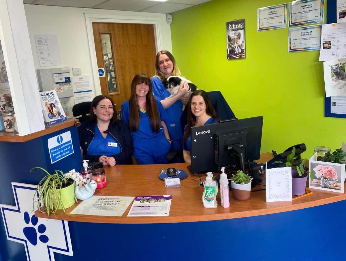 Our lovely Client Care Coordinators at the Gateacre practice hanging out with Howard 🐶

Howard spent the day with us for some dental work 🦷

Our Vet receptionists love to make your pets feel safe and welcome when they visit 🥰🥰