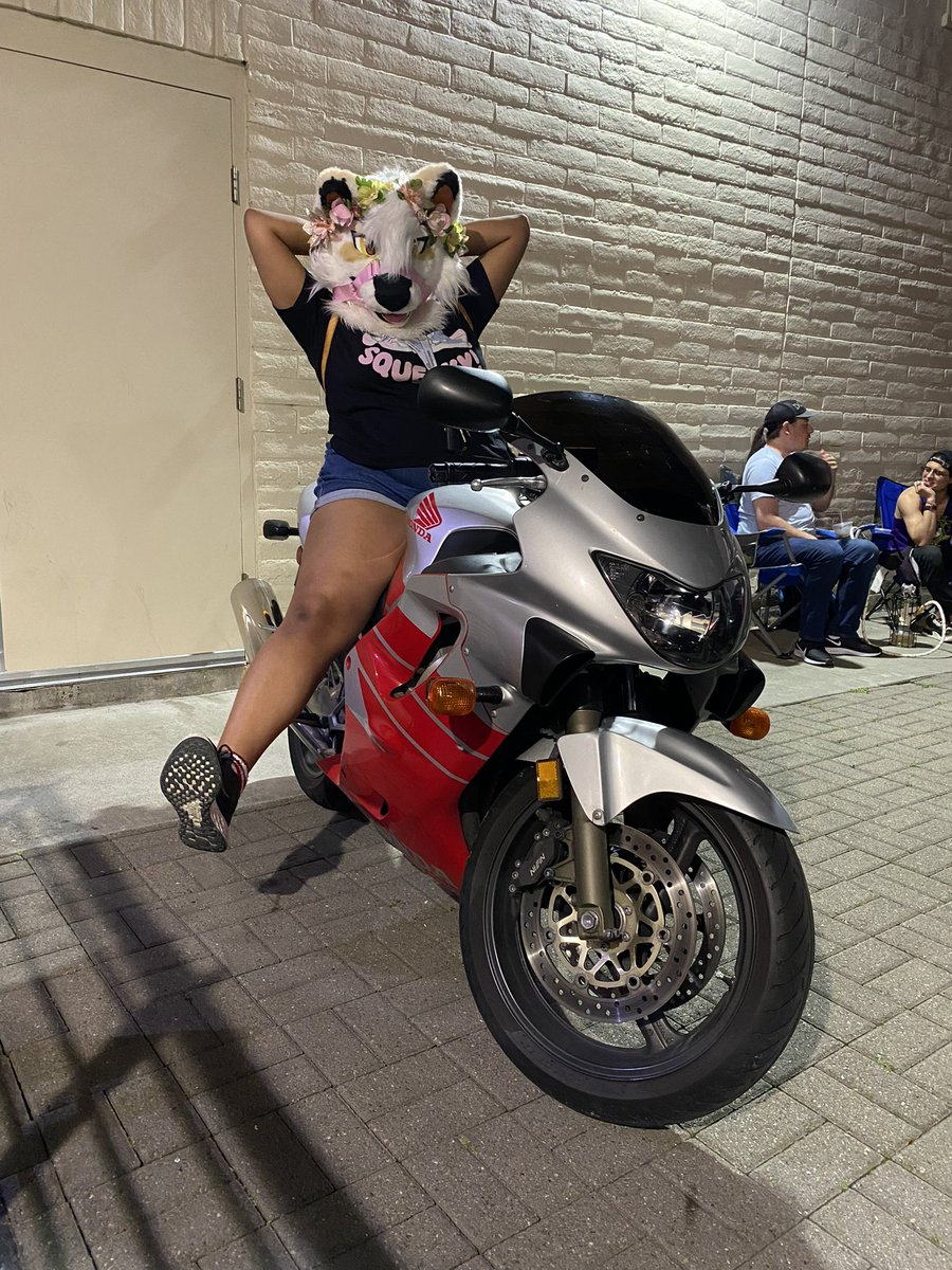 snaarlings's tweet photo. what are you waiting for? let’s go for a ride! 🏍 ✨

(thanks @Red_Boi_Wilco for letting me look cool on your motorcycle)

#FursuitFriday https://t.co/KhHorwfYwI