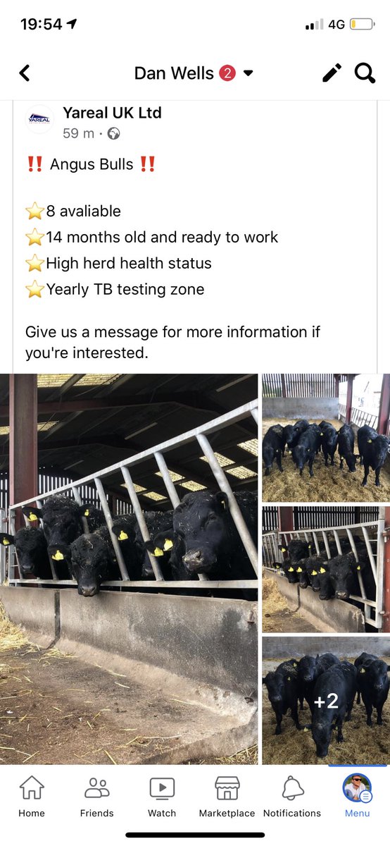 Dan Wells (@dan_wwells) on Twitter photo 