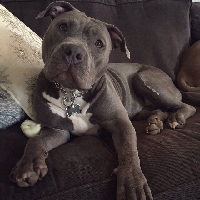 Blest ♰ Boys (@blestboys) on Twitter photo 