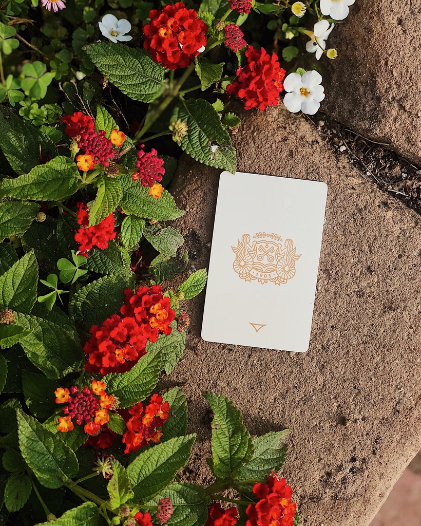 La Playa Hotel tweet media