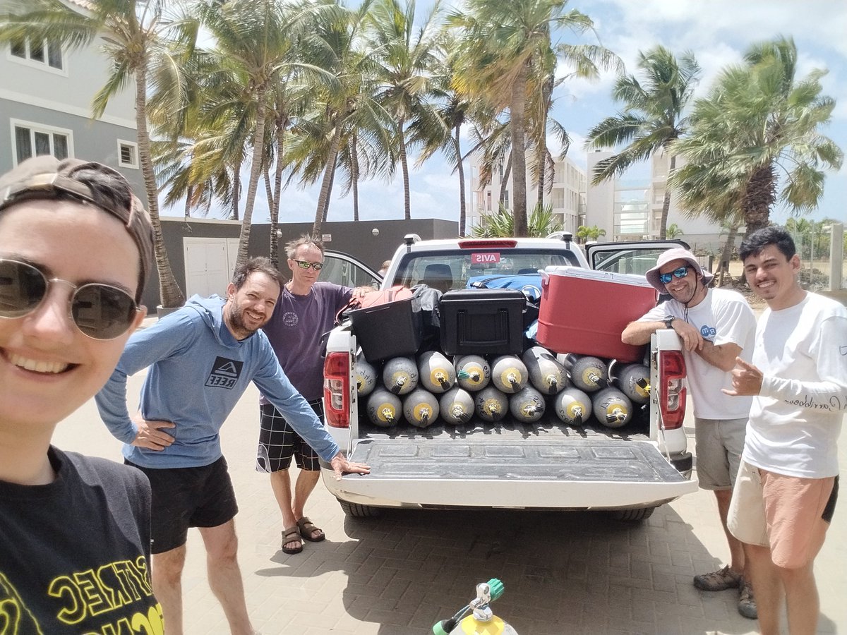 Last month, I took part in a field work in Bonaire, to give a hand in @cardosog95's PhD project, as aprt of EU2020 @MaCoBioS. Our objective was to sample corals, in order to track longterm climate change and costal impacts on #coralreefs. 
Thanks for a great learning opportunity