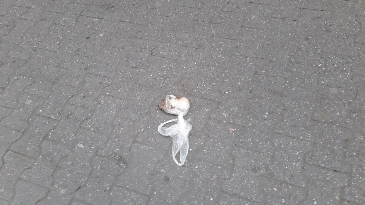 LEOLEGG's tweet photo. @gestionperfecta en pleno boulevard de Catia, a plena luz del día, con toda impunidad desde la torre Pomarrosa los damnificados que viven allí lanzan excremento y orina sobre quien esté pasando, esto no es cochinada sino maldad.

Saquen a esa gente de allí. https://t.co/3WcLI4dhJK